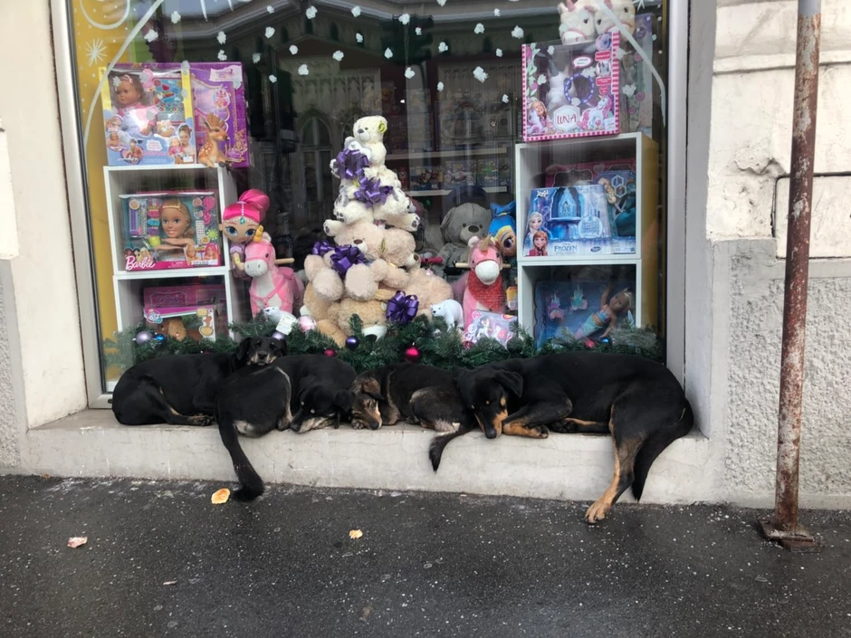 Kao da je reč o reklami