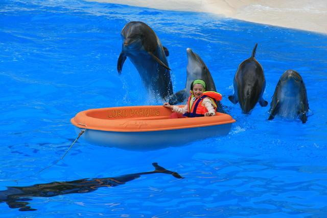 Galeria Wyspy Kanaryjskie - Loro Parque, obrazek 68