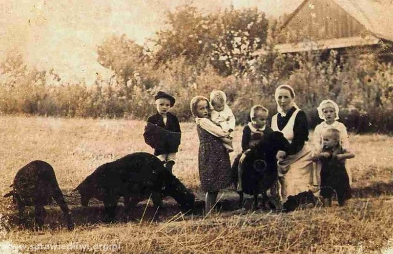 rodzina Ulmów / Ulm family