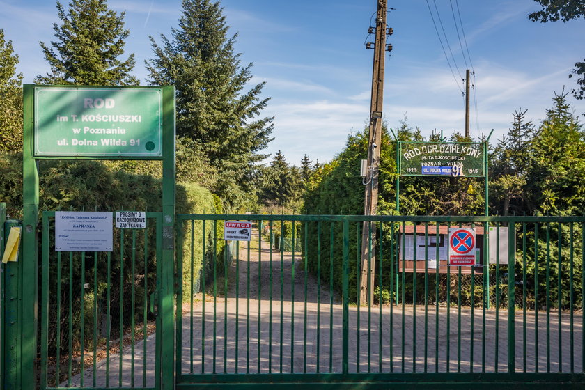 Brak ogródków działkowych, a jak są, to drogie