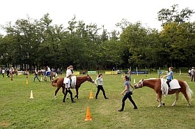lovasterapia-d00001D58890983df2b98