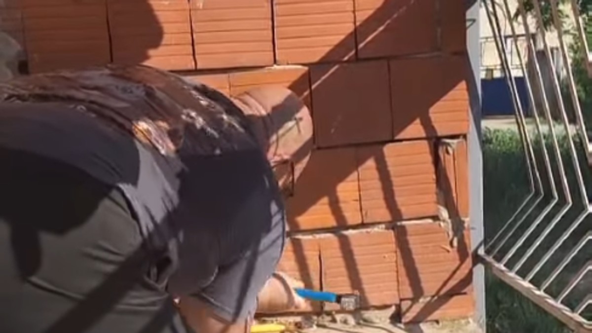 Vladica razbio zid da bi izvukao zmiju
