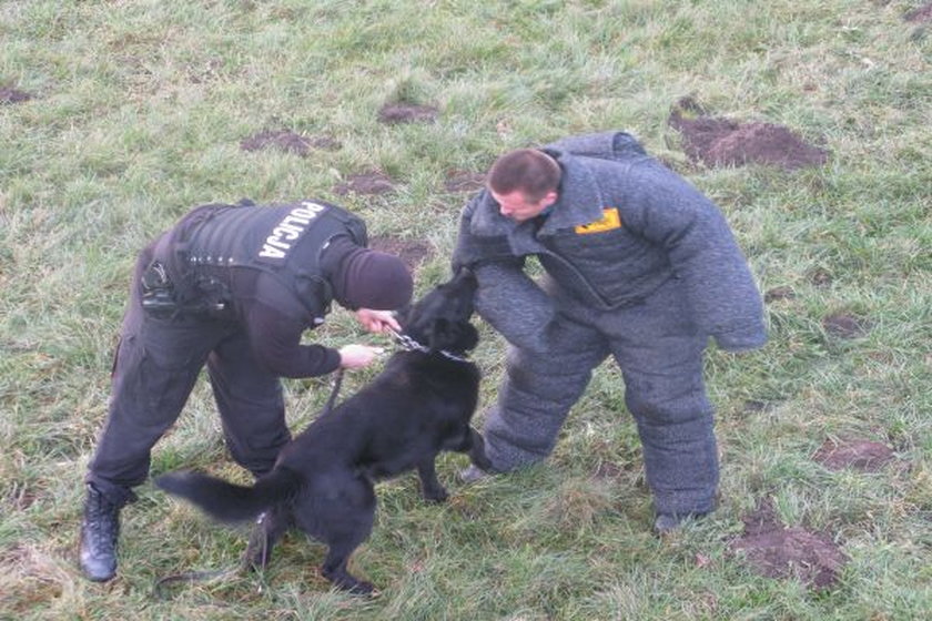 Policjanci z Pardubic i Wrocławia szkolili się z psami służbowymi