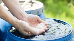 nawet 4000 zł na deszczówkę. dotacje wracają z rekordowym budżetem