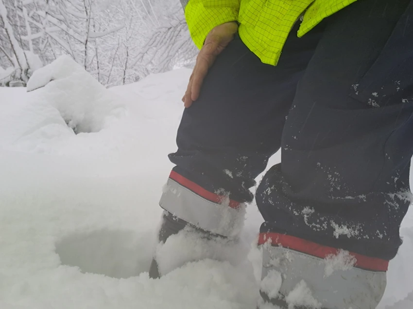 Elektrodistribucija (EDB) Srbije