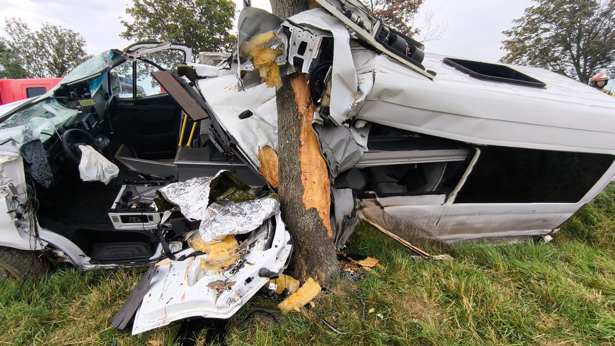 Bus nagle zjechał z drogi. Drzewo aż wbiło się do środka. Tak wygląda śmierć