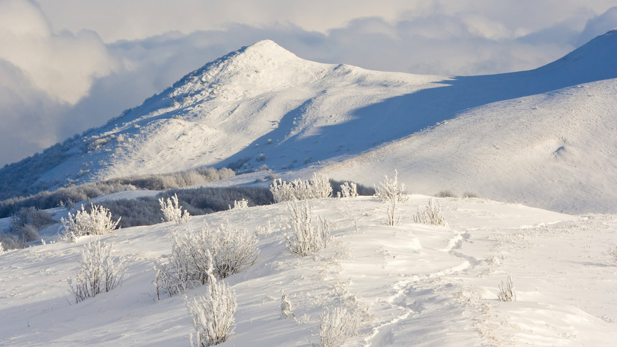 Bieszczady to wyjątkowo urokliwe góry dla każdego. Szlaki nie są aż tak wymagające, jak w innych górach w Polsce. Do tego wszystkiego są też schroniska w Bieszczadach, w których można się zatrzymać na noc.