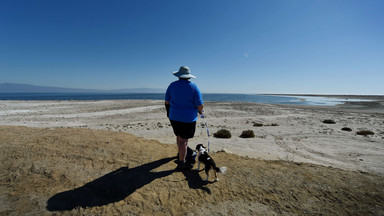 Salton Sea - słone jezioro w Kalifornii to bomba biologiczna z opóźnionym zapłonem?
