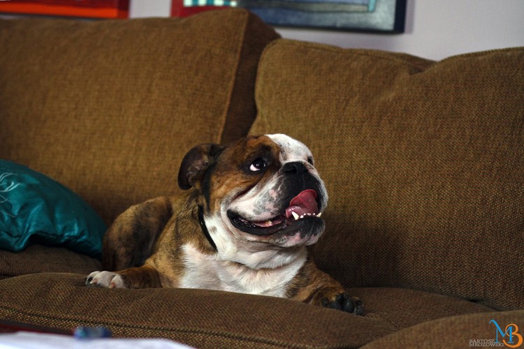 Padł ostatni klaps na planie serialu '2XL'