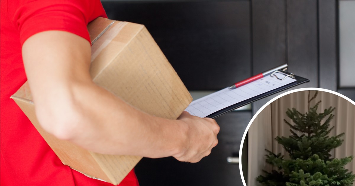 "Chcę tylko przeżyć do świąt". Kurier opowiada, co naprawdę dzieje się w grudniu