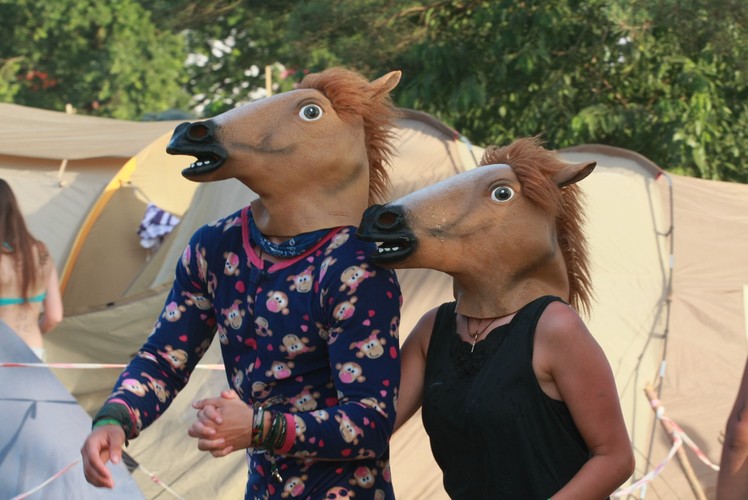 19. Przystanek Woodstock w Kostrzynie nad Odrą