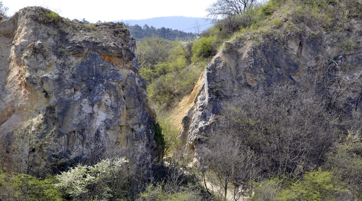 A Róka hegyről zuhant le a sziklamászó / Fotó: MTI - Róka László