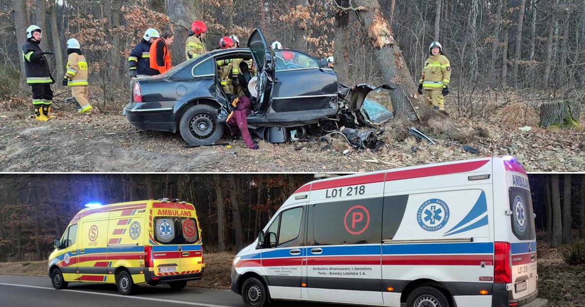 Tragiczny wypadek na DK17 pod Puławami. Nie żyje kierowca