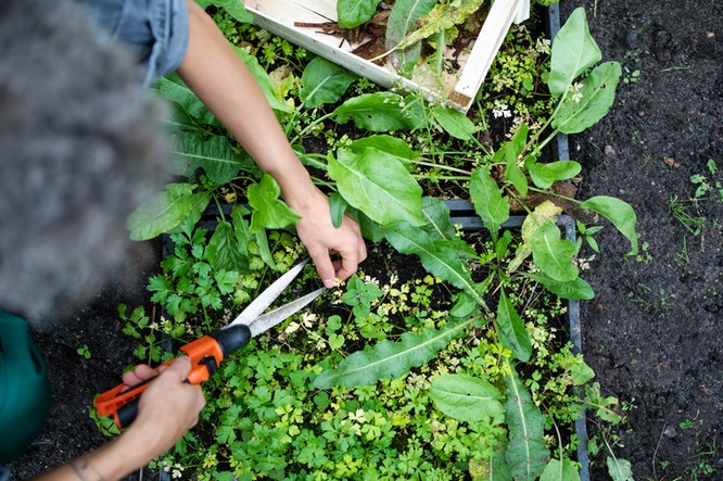 GettyImages-1185416704