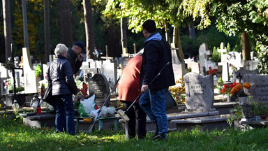 Jak szybko odnaleźć groby bliskich? To naprawdę proste, wyjaśniamy krok po kroku [LISTA]