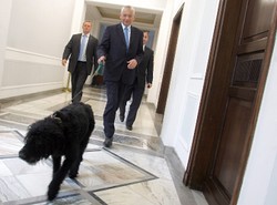 Saba, najsłynniejszy pies IV RP, nie żyje?