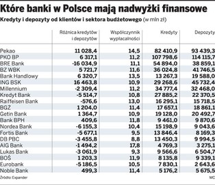 Banki w Polsce mają ponad 50 mld zł wolnych środków