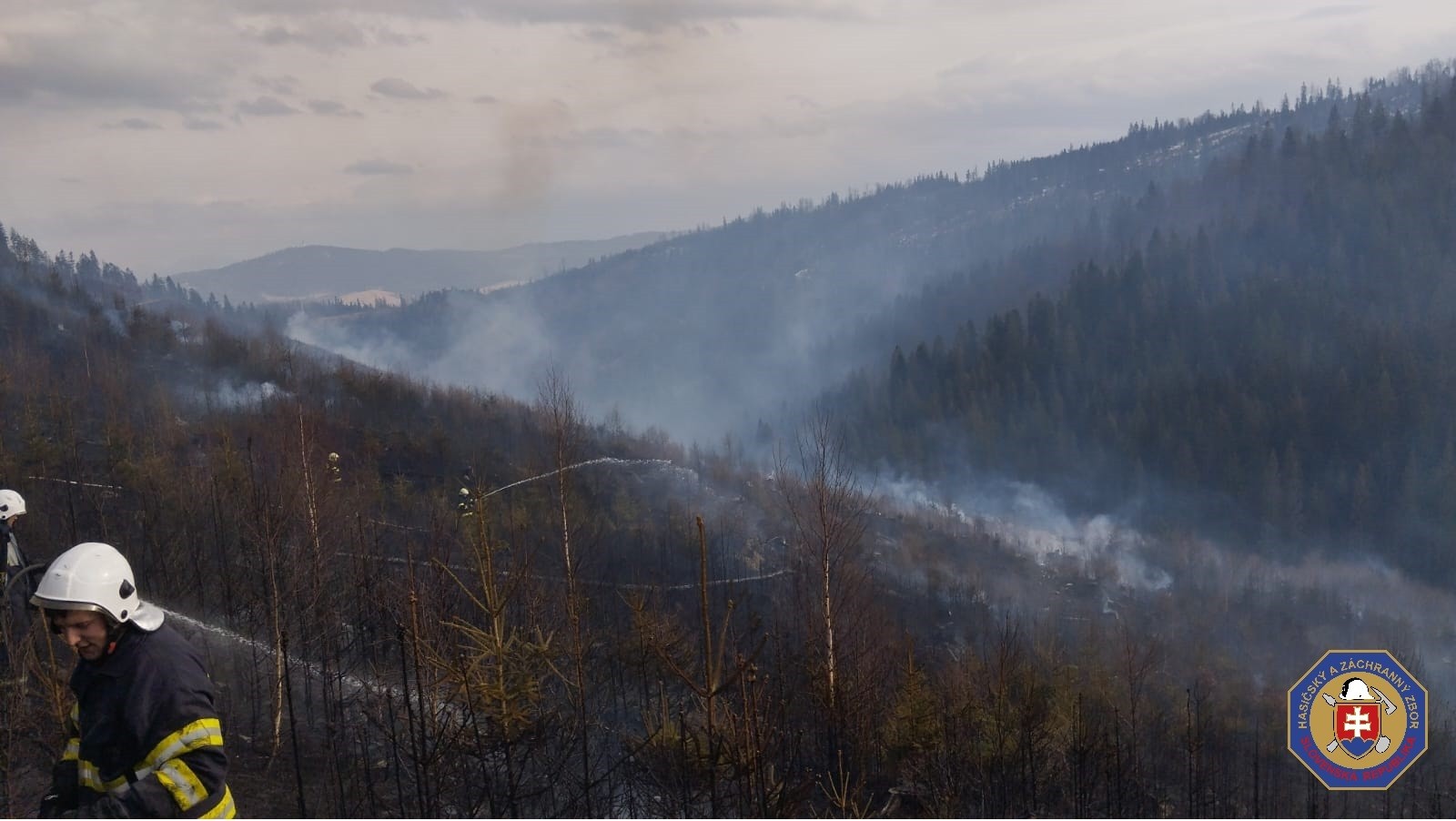 Pri požiari lesa v Oravskej Jasenici zasahuje takmer 80 hasičov. 