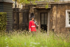Blady strach padł na personel królewskiej rezydencji. Decyzja o zwolnieniach ma zapaść w ciągu sześciu miesięcy