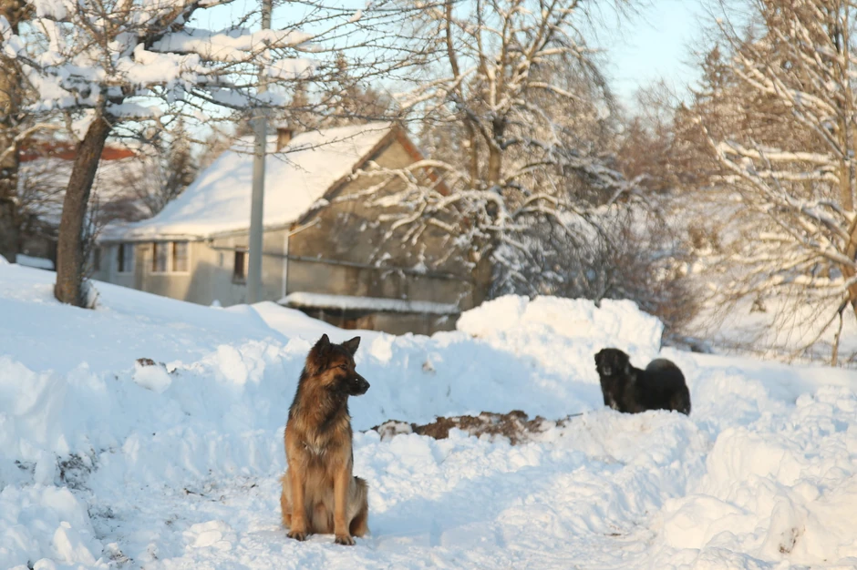Okolna sela u Grahovu