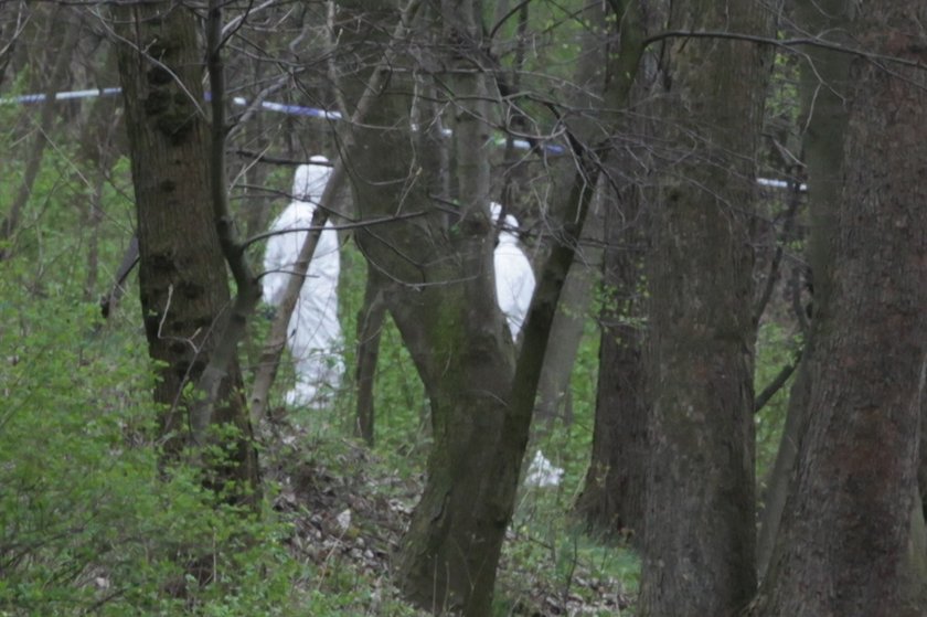 Park w Gdańsku Brzeźnie, gdzie doszło do zabójstwa 5-latki