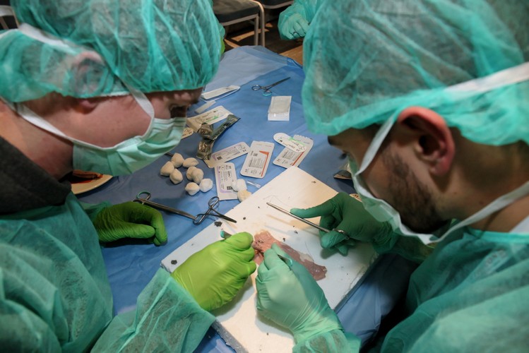 MISTRZOSTWA POLSKI W SZYCIU CHIRURGICZNYM