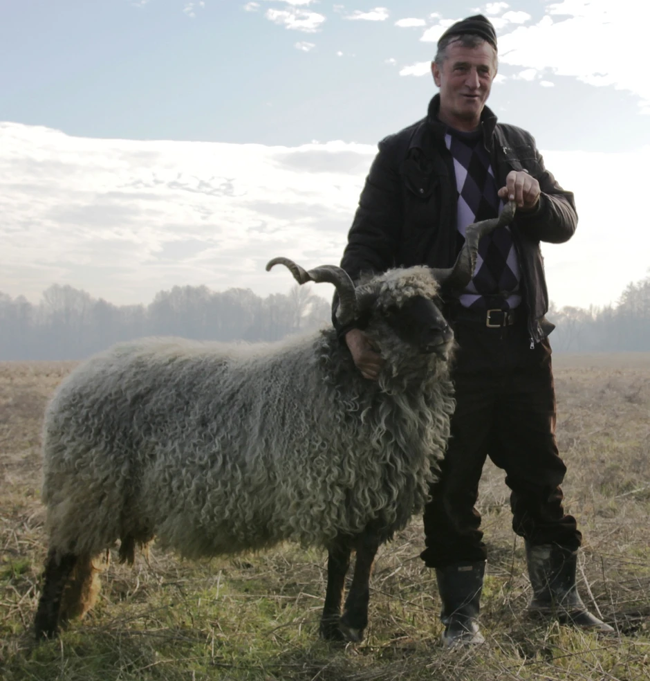 Rifet Dunić pored ovna kapitalca