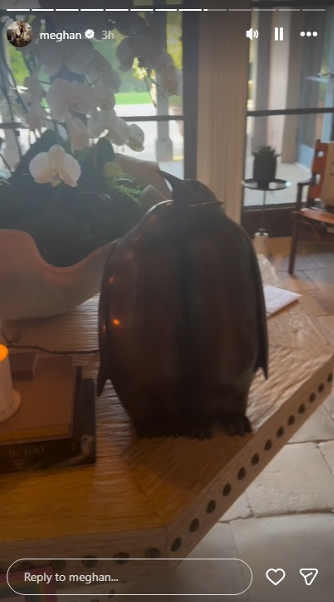 Harijev poklon za Megan Markl