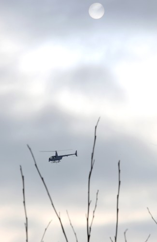 Poszukiwania zaginionych braci w okolicy miejscowości Zaliwie-Szpinki