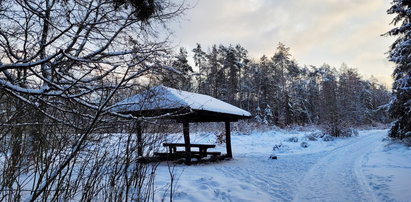 Śnieg, mżawka, gołoledź, zawieje i zamiecie. Co, gdzie i kiedy? Prognoza na weekend dla regionów