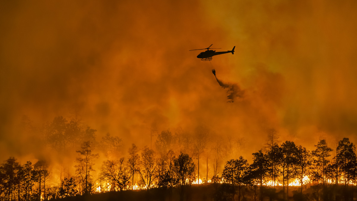 Coraz większa liczba pożarów w Bułgarii. Przyczyną nie tylko upał