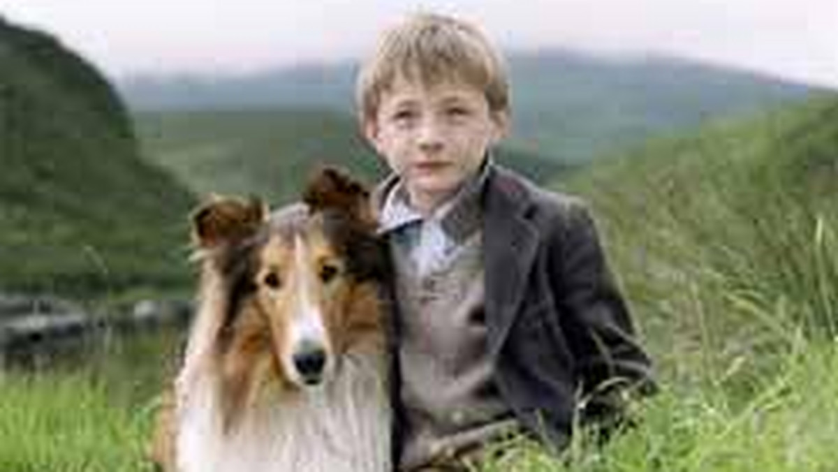 Dramat "Masz na imię Justine", czarna komedia "Jabłka Adama" i familijna opowieść "Lassie" znalazły się wśród premier filmowych tego tygodnia.