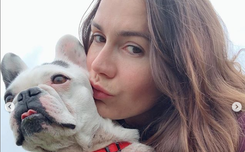 Olga Bołądź uratowała psa z pseudohodowli. Pokazała drastyczne zdjęcie