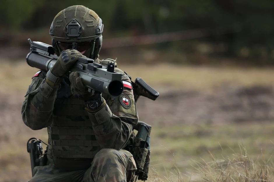 Poljska vojska, ilustracija