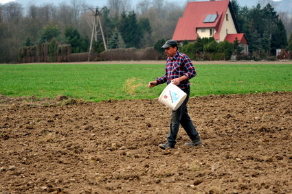 W Polsce szykują się wielkie siewy. W obliczu wojny Bruksela pozwala rolnikom na więcej