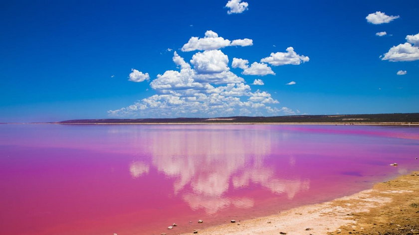Pink Lake - Australia