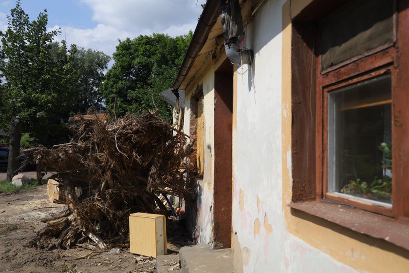 Dramat rodziny z ulicy Przylesie w Łodzi. Drzewo przygniotło dom w czasie nawałnicy