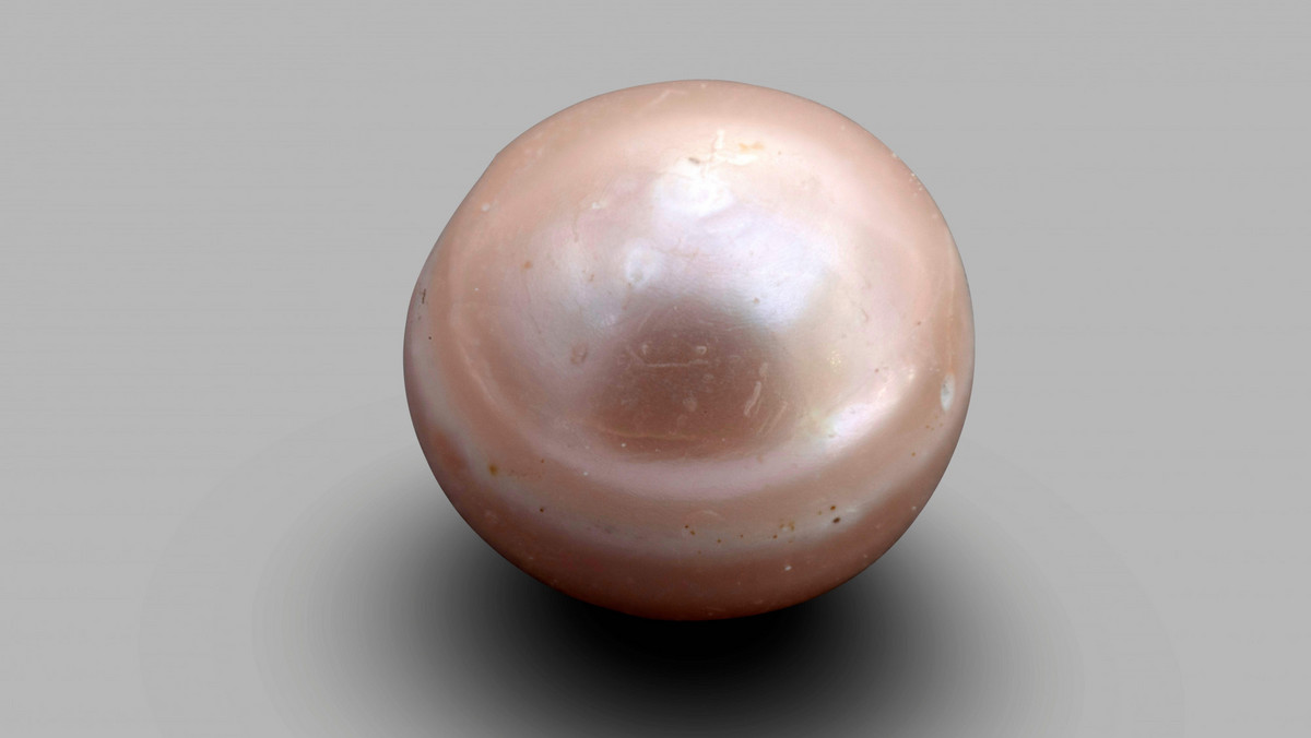 Najstarsza perła odnaleziona w Abu Dhabi - ma osiem tys. lat!