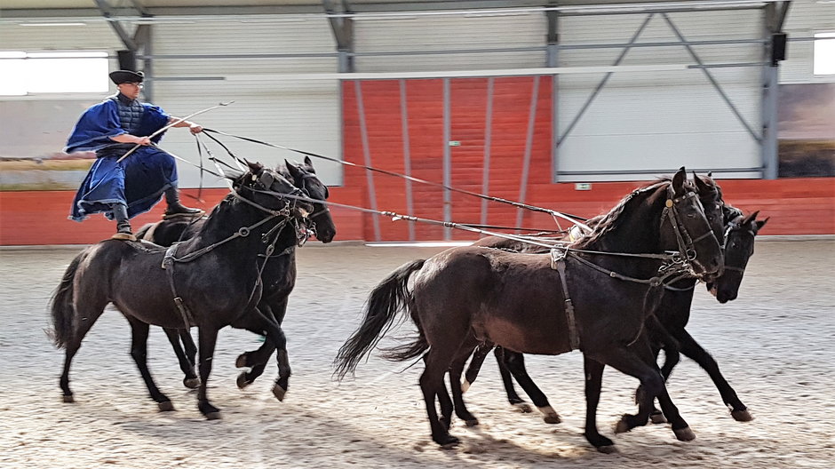 Ośrodek Jeździecki Lazar (12)