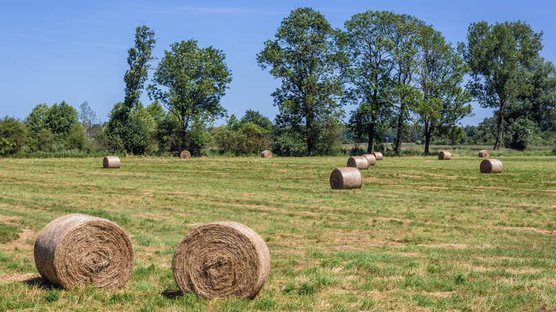 Grunty, które wymagają decyzji zezwalającej na wyłączenie z produkcji rolnej