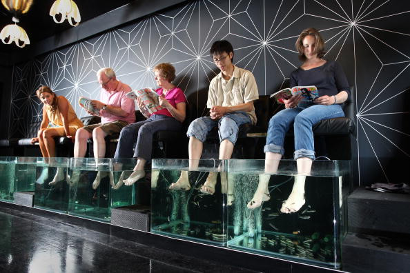 The First Fish Spa Therapy Opens In London