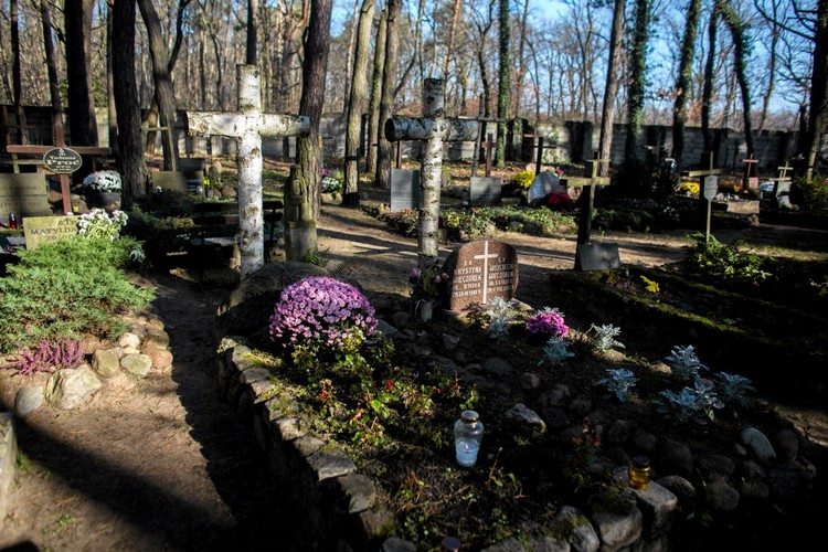 Cmentarz leśny w Laskach