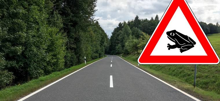 Znak z symbolem żaby przy niemieckich drogach. Czy wiesz, co oznacza?