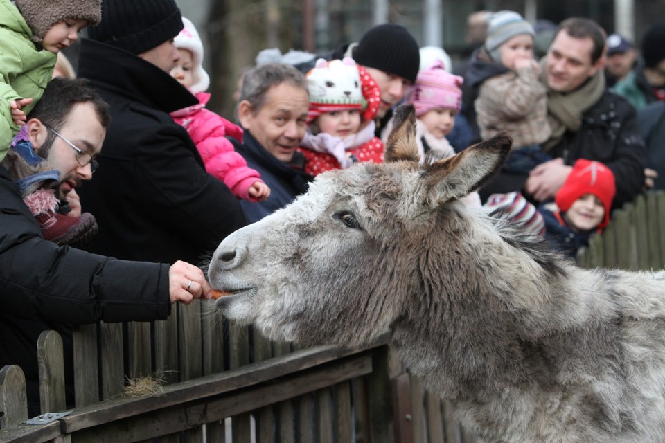 Szopka bożonarodzeniowa na Bielanach