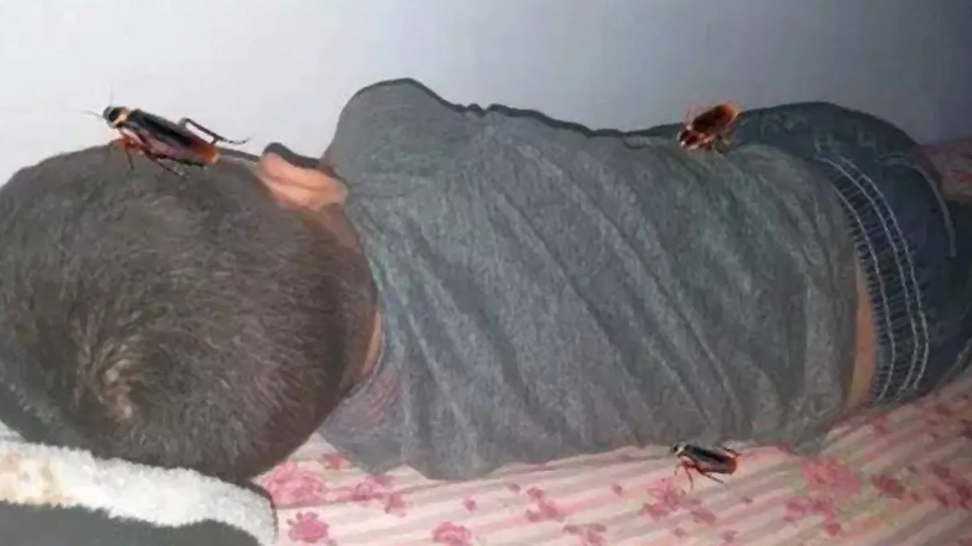 Uporno je odbijao da se okupa, a onda otišao da spava: Mama je podelila sliku svog sina i ljudi su bez teksta