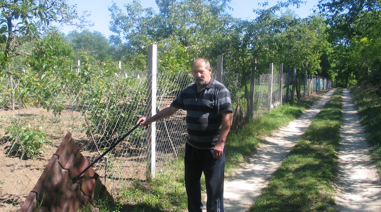 A kerítést Schmidt Ferenc ezerféleképpen próbálta megerősíteni, de a vadak előtt nincs akadály