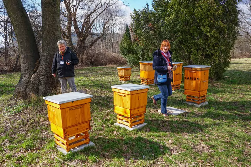 W planach są warsztaty dotyczące pszczelarstwa