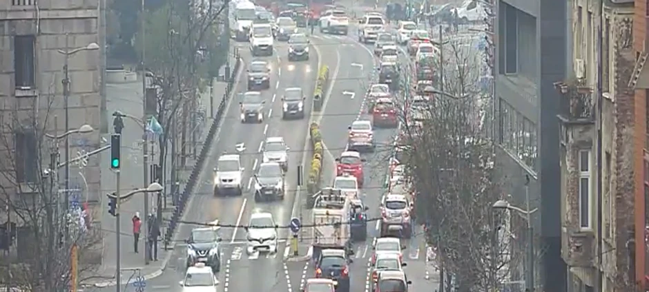 Izebavati izlazak napolje kada su špicevi