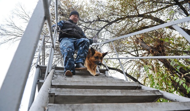 Policijski pas - ilustracija