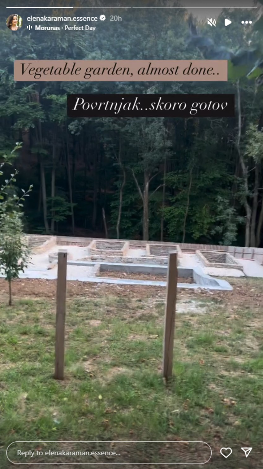 Elena Karić, objava